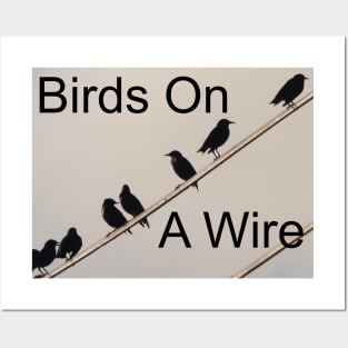 Birds on a Wire Posters and Art